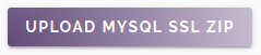 Upload MySQL SSL ZIP